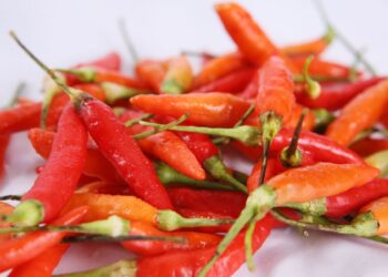 Stok Melimpah, Harga Kebutuhan Bahan Pokok Turun Dratis di Aceh Besar