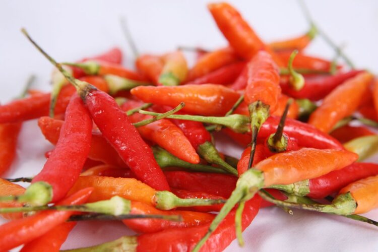 Stok Melimpah, Harga Kebutuhan Bahan Pokok Turun Dratis di Aceh Besar