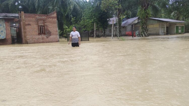 Banjir Hampir Rendam Seluruh Rumah Warga di Seneubok Pusaka Aceh Selatan