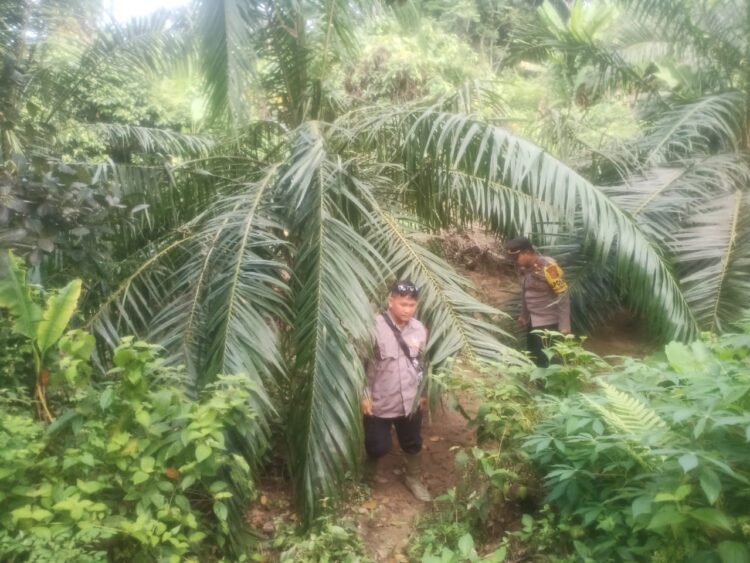 Aceh Timur Dilanda Serangan Satwa Liar Tak Berkesudahan