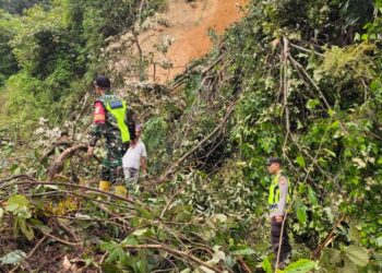 Jalan Penghubung Aceh Timur-Gayo Lues Kembali Longsor