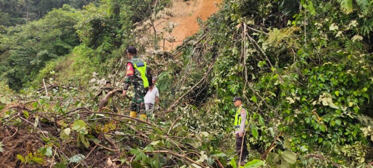 Jalan Penghubung Aceh Timur-Gayo Lues Kembali Longsor