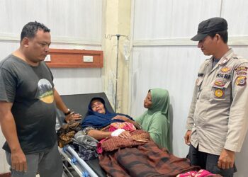 IRT di Aceh Singkil Diterkam Buaya saat Mencari Pakan Bebek, Begini Kronologisnya !