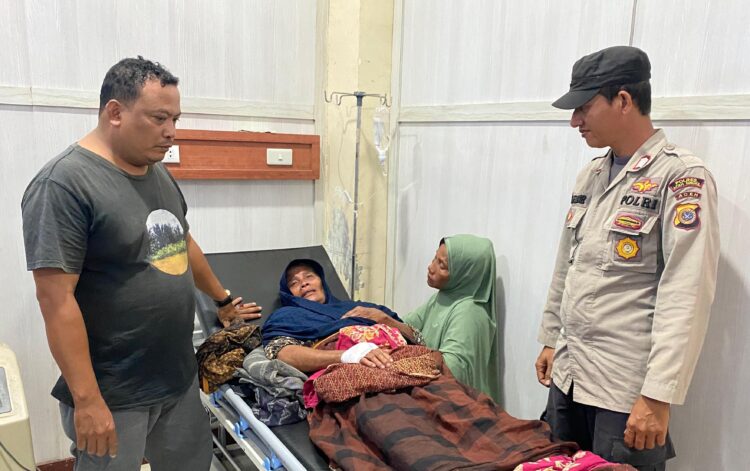 IRT di Aceh Singkil Diterkam Buaya saat Mencari Pakan Bebek, Begini Kronologisnya !