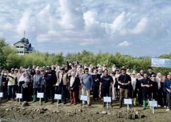 Mahasiswa Banda Aceh Tanam Manggrove untuk Masa Depan Berkelanjutan