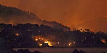 Jepang Dilanda Kebakaran Hutan Terbesar dalam Tiga Dekade