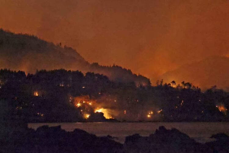 Jepang Dilanda Kebakaran Hutan Terbesar dalam Tiga Dekade