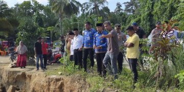 9 Desa Terancam Putus Akses, Wabup Aceh Timur Tinjau Lokasi Longsor di Pantee Bidari