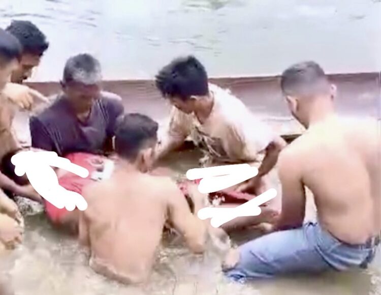 Tragedi di Sungai Aceh Timur: Warga Diterkam Buaya, 7 Kali Muncul Sebelum Tewas