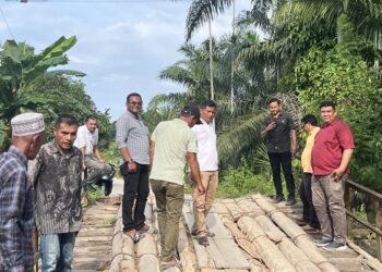 Tanggapi Aspirasi Masyarakat, Pang Ucok Tinjau Jembatan Rusak di Dua Lokasi di Aceh Timur