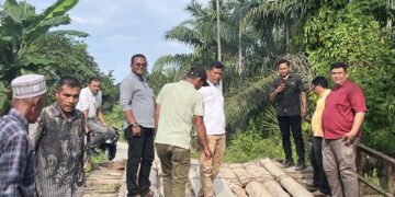 Tanggapi Aspirasi Masyarakat, Pang Ucok Tinjau Jembatan Rusak di Dua Lokasi di Aceh Timur