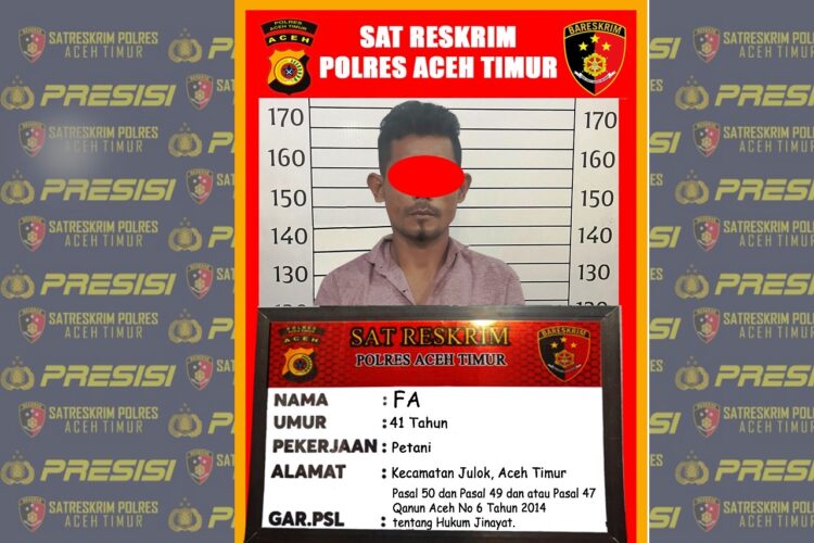 Cabuli Anak Kandung Sendiri, Seorang Ayah di Julok Aceh Timur Dibekuk Polisi
