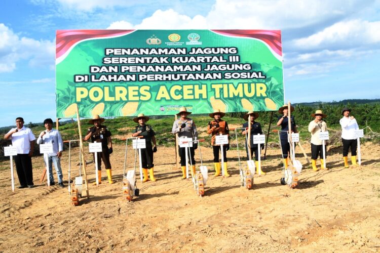 Polres dan Pemkab Aceh Timur Bersinergi dalam Program Penanaman Jagung Serentak