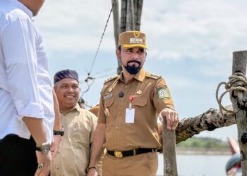Dua Jembatan Rusak di Aceh Timur Bakal Dibangun Kembali, Bupati Al-Farlaky Tinjau Langsung
