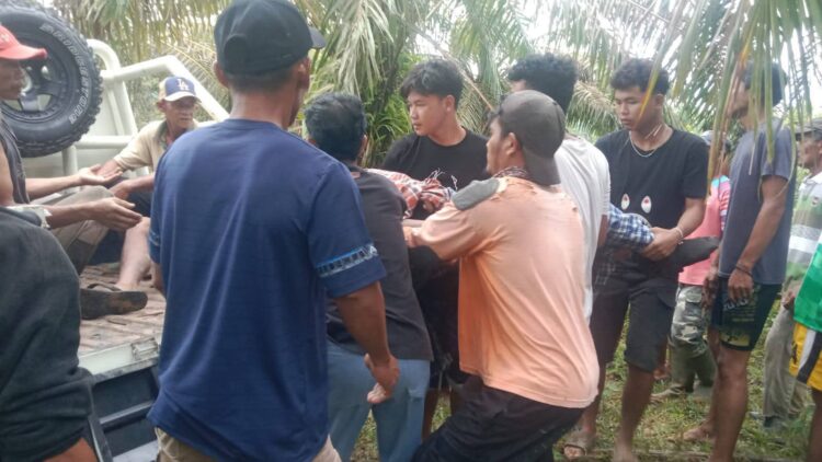 Dua Warga Aceh Tamiang Tewas Tersambar Petir di Kebun Sawit