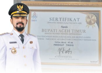 Bupati Al-Farlaky Terima Sertifikat Apresiasi Indeks Kualitas Data ASN dari BKN