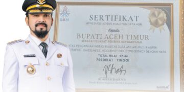 Bupati Al-Farlaky Terima Sertifikat Apresiasi Indeks Kualitas Data ASN dari BKN