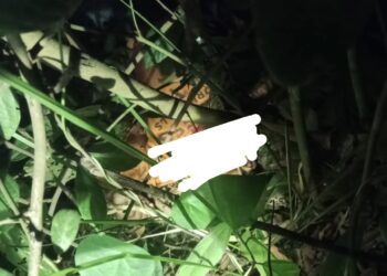 Geger! Penemuan Jasad Kurir Paket dengan Luka Parah di Aceh Timur, Polisi Selidiki