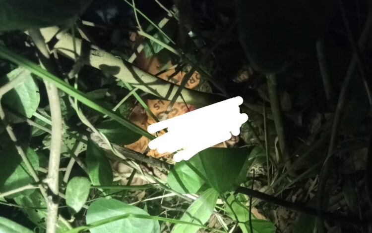 Geger! Penemuan Jasad Kurir Paket dengan Luka Parah di Aceh Timur, Polisi Selidiki