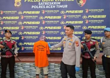 Motif Pembunuhan Kurir Paket di Aceh Timur Terungkap