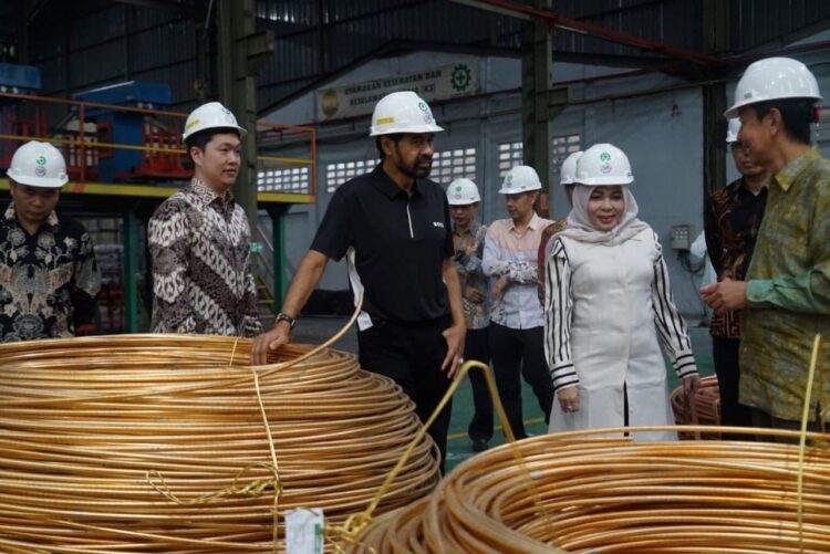 Pemerintah Aceh Jalin Kerjasama dengan BUMN Tiongkok untuk Bangun Fasilitas Tambang dan Smelter