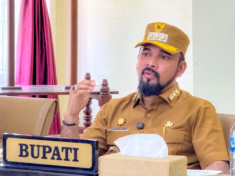 Bupati Aceh Timur Ingatkan Tenaga Non-ASN Segera Isi DRH PPPK Paruh Waktu