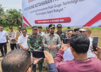 Pemkab Aceh Timur Luncurkan Program Penanaman Padi Gogo Terintegrasi PSR