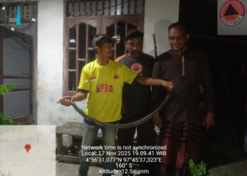 Ular Cobra Masuk Rumah Warga, Tim BPBD Aceh Timur Gerak Cepat