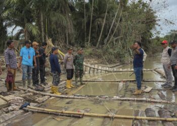 Bupati Al-Farlaky Temukan Rakit Balok Kayu Ilegal di Sungai Simpang Jernih