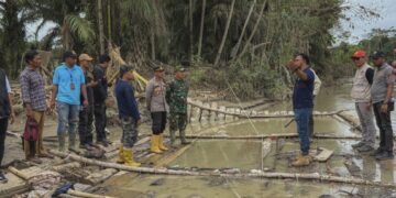 Bupati Al-Farlaky Temukan Rakit Balok Kayu Ilegal di Sungai Simpang Jernih