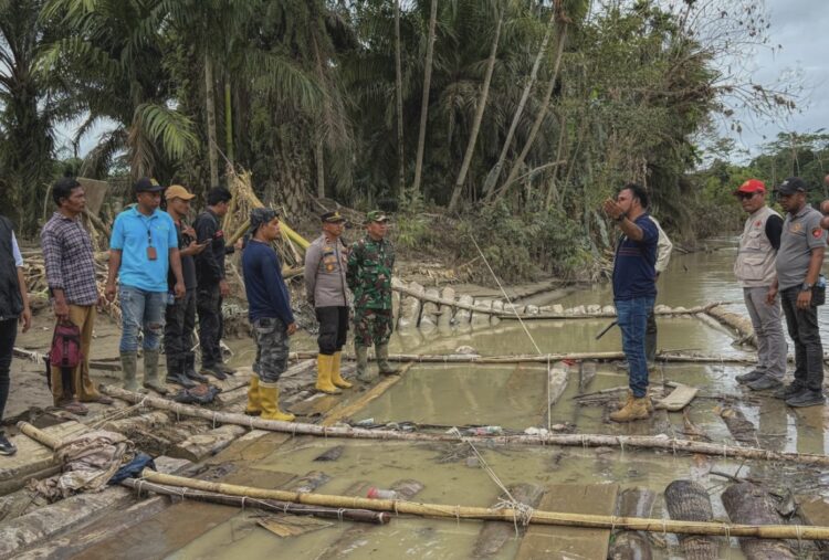 Bupati Al-Farlaky Temukan Rakit Balok Kayu Ilegal di Sungai Simpang Jernih