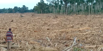 Sungai Geudumbak Dipenuhi Kayu, Warga Curigai Illegal Logging