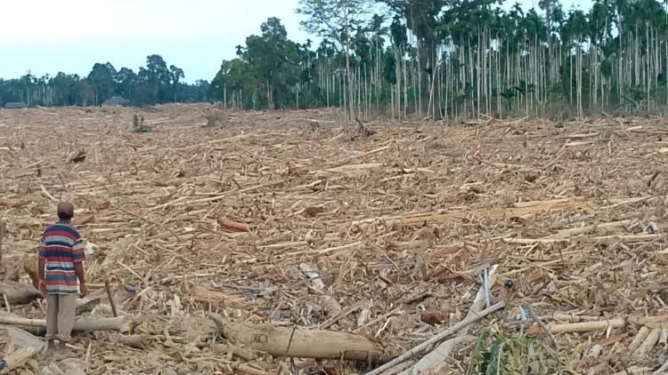 Sungai Geudumbak Dipenuhi Kayu, Warga Curigai Illegal Logging