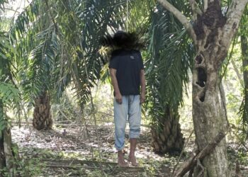 Pria di Aceh Timur Ditemukan Gantung Diri di Kebun Sawit