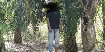 Pria di Aceh Timur Ditemukan Gantung Diri di Kebun Sawit
