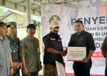 Bupati Al-Farlaky Serahkan Sapi Bantuan Presiden untuk Meugang Masyarakat Terdampak Banjir