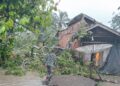 Cuaca Ekstrem, Pohon Tumbang Timpa Rumah di Aceh Besar