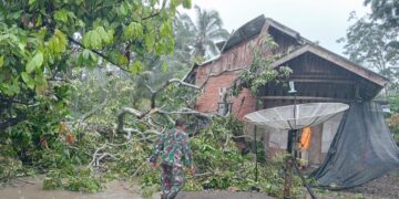 Cuaca Ekstrem, Pohon Tumbang Timpa Rumah di Aceh Besar