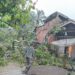 Cuaca Ekstrem, Pohon Tumbang Timpa Rumah di Aceh Besar