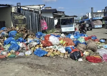 Bau Menyengat dari Tumpukan Sampah Ganggu Aktivitas Warga Idi Rayeuk