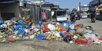 Bau Menyengat dari Tumpukan Sampah Ganggu Aktivitas Warga Idi Rayeuk