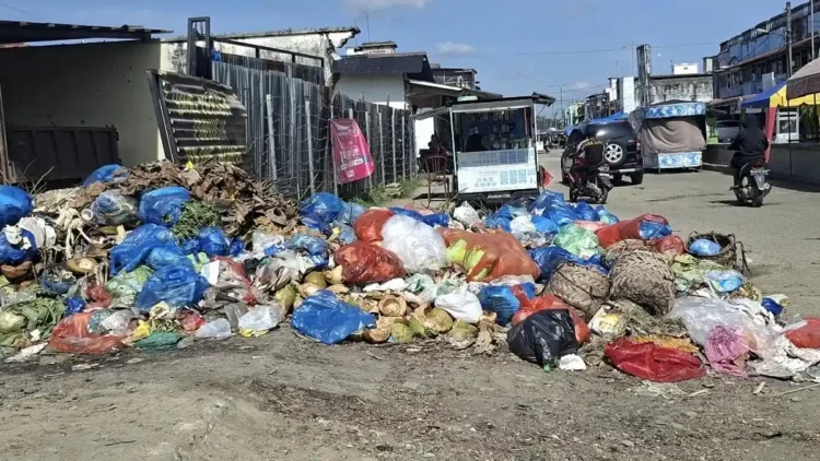 Bau Menyengat dari Tumpukan Sampah Ganggu Aktivitas Warga Idi Rayeuk