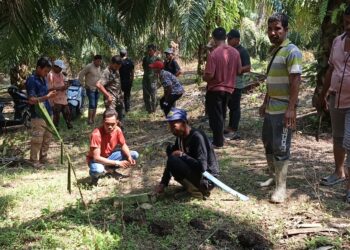 Serikat Tani Aceh Kecam Pernyataan Anggota DPRK Aceh Utara yang Dinilai Tidak Berpihak pada Masyarakat