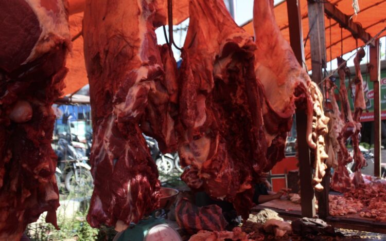 7,5 Ton Daging Meugang Bantuan Presiden Disalurkan ke 905 KK di Aceh Besar
