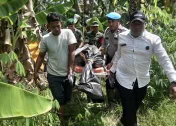 Kerangka Manusia Ditemukan di Kebun, Diduga Korban Banjir Aceh Utara