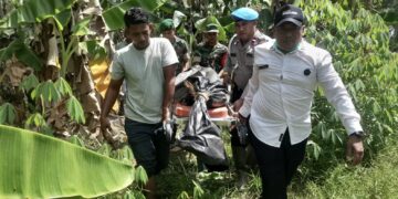 Kerangka Manusia Ditemukan di Kebun, Diduga Korban Banjir Aceh Utara