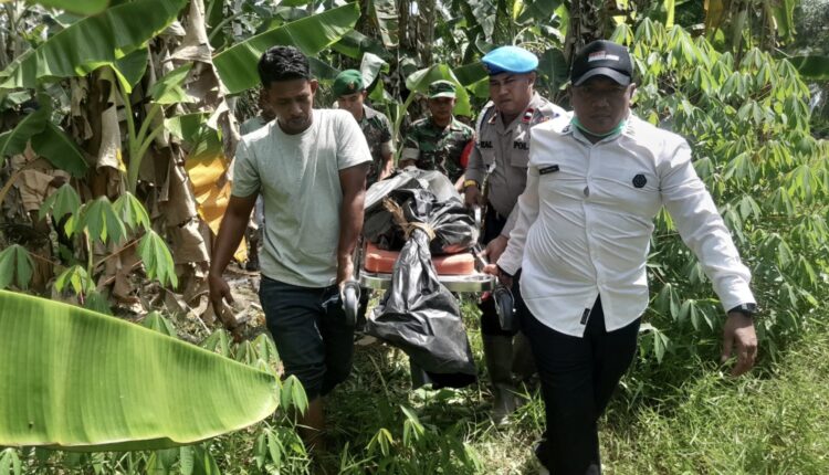 Kerangka Manusia Ditemukan di Kebun, Diduga Korban Banjir Aceh Utara