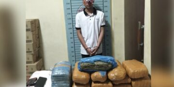 Polres Aceh Tenggara Gagalkan Peredaran 17,8 Kg Ganja, Satu Tersangka Ditangkap