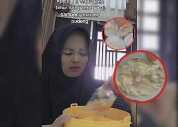 Viral, Diduga MBG Basi dan Berbelatung di Salurkan untuk Ibu Menyusui: Apakah Kami Binatang?