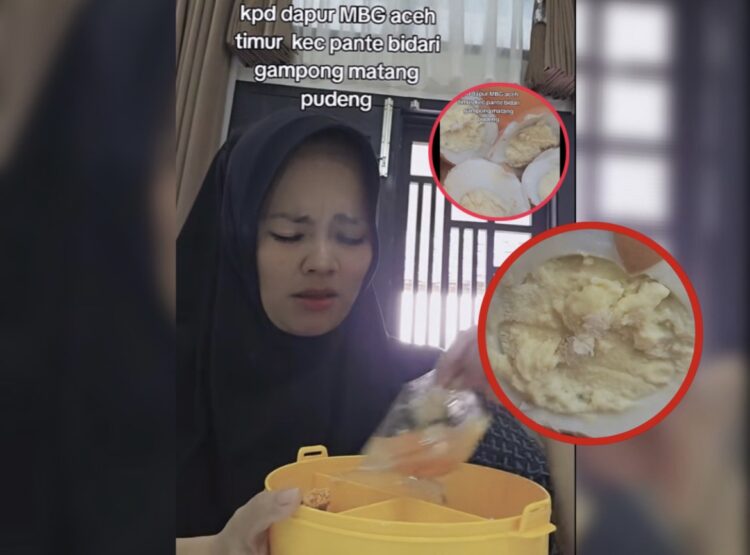 Viral, Diduga MBG Basi dan Berbelatung di Salurkan untuk Ibu Menyusui: Apakah Kami Binatang?